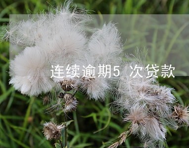 连续逾期5次贷款 连续逾期5次贷款