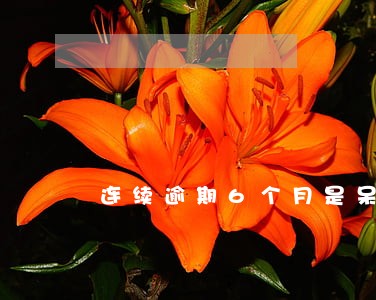 连续逾期6个月是呆账吗
