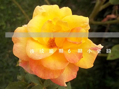 连续逾期6期小金额