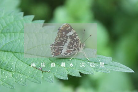 连续逾期6次后果 连续逾期6次后果