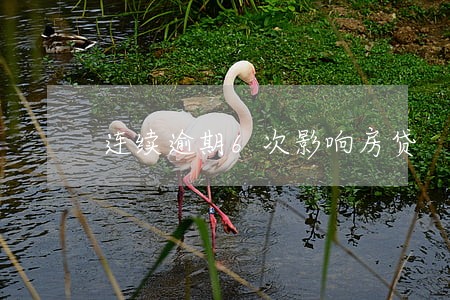 连续逾期6次影响房贷 连续逾期6次影响房贷