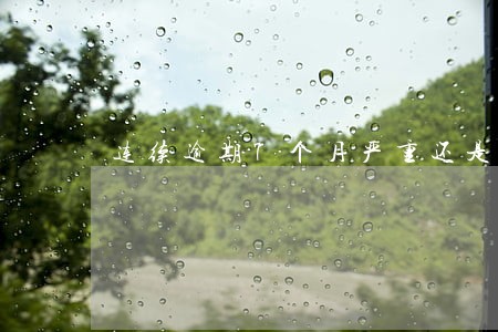 连续逾期7个月严重还是呆账严重 连续逾期7个月严重还是呆账严重