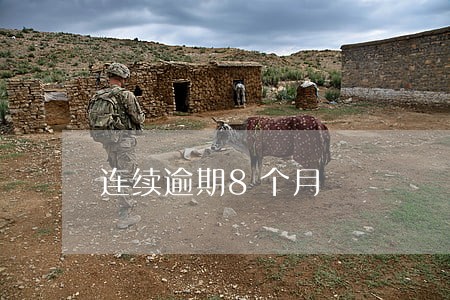 连续逾期8个月 连续逾期8个月