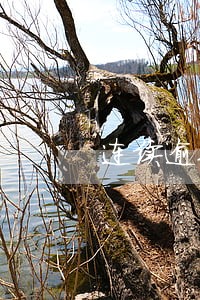连续逾期91天征信显示是几 连续逾期91天征信显示是几