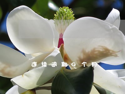 连续逾期9个月 连续逾期9个月