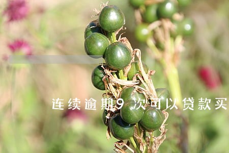 连续逾期9次可以贷款买房吗 连续逾期9次可以贷款买房吗