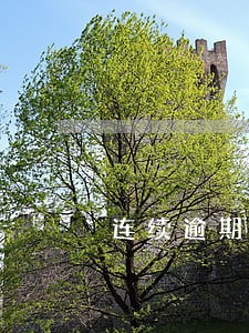 连续逾期三次2020 连续逾期三次2020