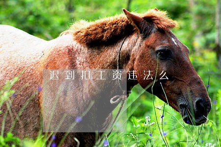 迟到扣工资违法么 迟到扣工资违法么