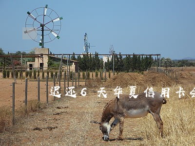迟还6天华夏信用卡会有逾期吗 迟还6天华夏信用卡会有逾期吗