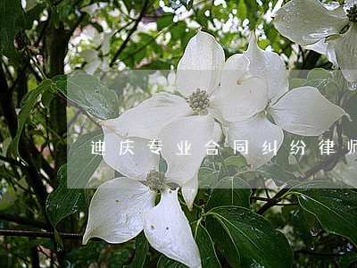 迪庆专业合同纠纷律师 迪庆专业合同纠纷律师