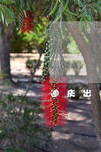迪庆出名的房产纠纷律师 迪庆出名的房产纠纷律师