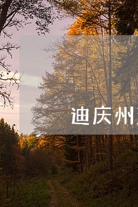 迪庆州法院6月排期表