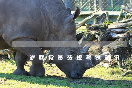 述联党员法规考试简讯 述联党员法规考试简讯