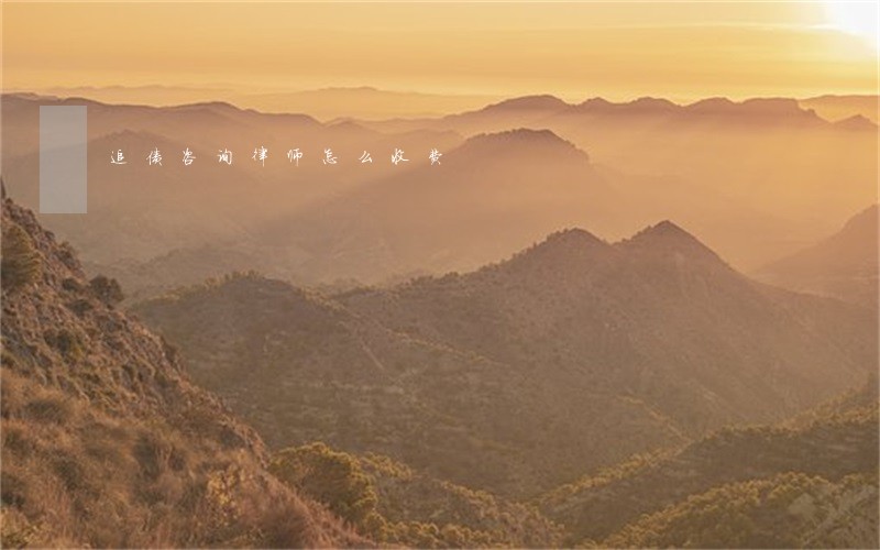 追债咨询律师怎么收费