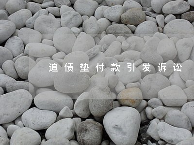 追债垫付款引发诉讼 追债垫付款引发诉讼