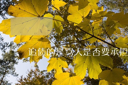 追债的是骂人是否要承担法律关系 追债的是骂人是否要承担法律关系