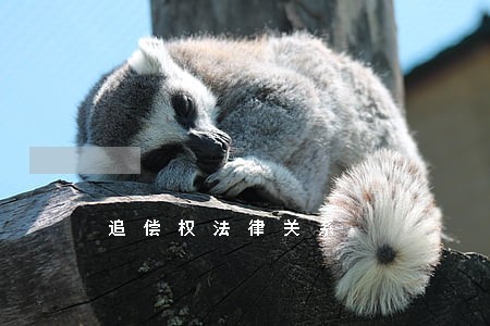 追偿权法律关系
