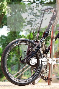 追偿权获得法院支持 追偿权获得法院支持