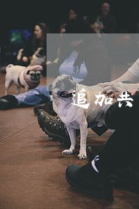 追加共同被告后还要变诉讼请求吗 追加共同被告后还要变诉讼请求吗