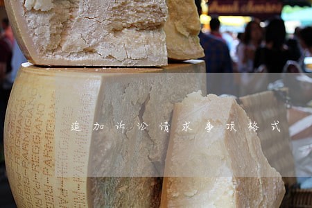 追加诉讼请求事项格式
