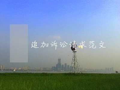 追加诉讼请求范文