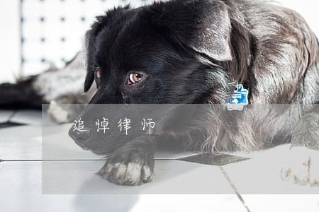 追悼律师 追悼律师