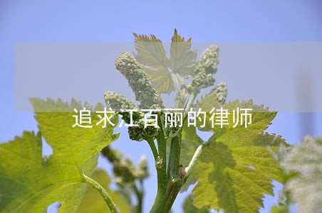 追求江百丽的律师