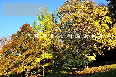 追究劳动报酬的诉讼时效