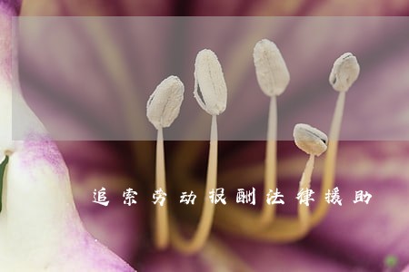 追索劳动报酬法律援助 追索劳动报酬法律援助