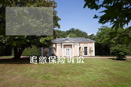 追缴保险诉讼