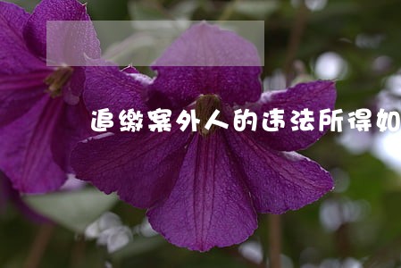 追缴案外人的违法所得如何执行 追缴案外人的违法所得如何执行