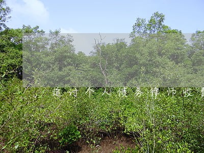 追讨个人债务律师收费不 追讨个人债务律师收费不