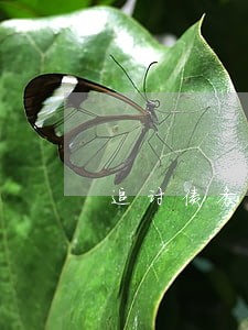 追讨债务我们怎么去诉讼的呢 追讨债务我们怎么去诉讼的呢