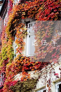 退伍军人信用卡逾期了会怎么样