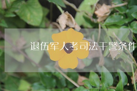 退伍军人考司法干警条件