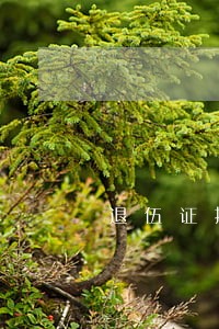 退伍证担保贷款有逾期 退伍证担保贷款有逾期