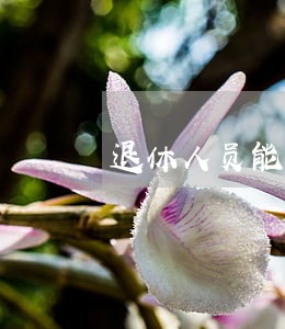退休人员能否代理诉讼案件