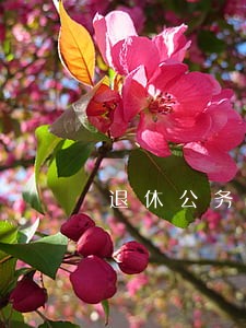 退休公务员能做好律师工作吗 退休公务员能做好律师工作吗