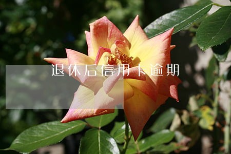 退休后信用卡逾期
