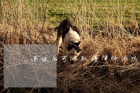退休后可以取得律师证吗 退休后可以取得律师证吗