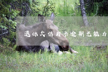 退休欠信用卡逾期无能力还款 退休欠信用卡逾期无能力还款