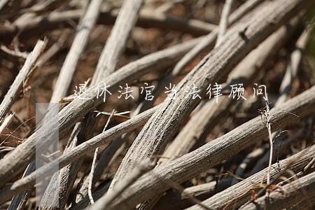 退休法官当法律顾问 退休法官当法律顾问
