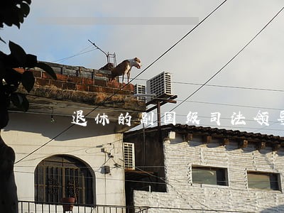 退休的副国级司法领导 退休的副国级司法领导