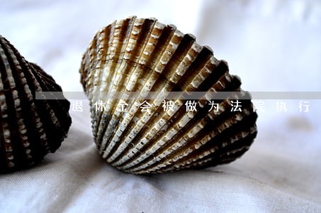 退休金会被做为法院执行款吗