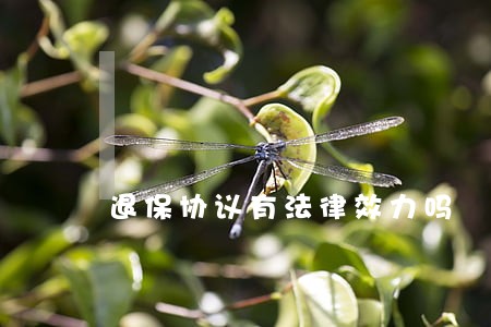 退保协议有法律效力吗 退保协议有法律效力吗