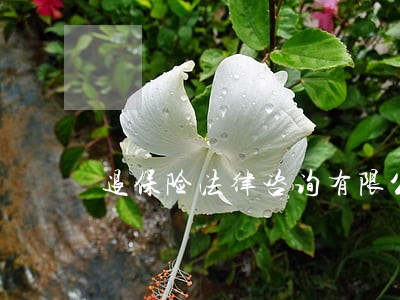 退保险法律咨询有限公司 退保险法律咨询有限公司