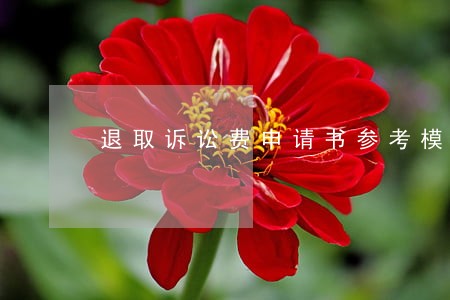 退取诉讼费申请书参考模板