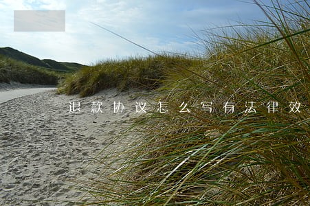 退款协议怎么写有法律效力 退款协议怎么写有法律效力