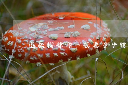 退款找律师一般要多少钱 退款找律师一般要多少钱