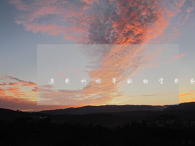 退费纠纷导致的学费贷款逾期 退费纠纷导致的学费贷款逾期